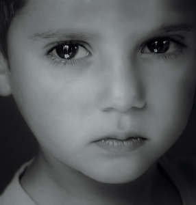 The Quiet Gaze - Photo by Linda Fickinger