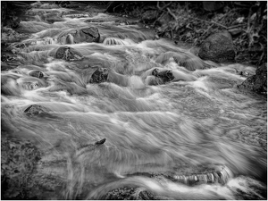 The Rapids - Photo by Frank Zaremba MNEC