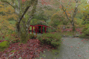 Class B HM: The Red Bridge by Lisa Willsey