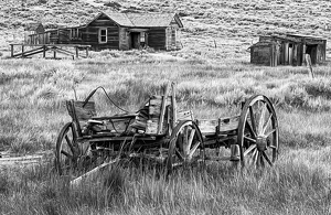 Class B HM: The Resting Place by Lynnelle Hulse