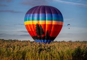 This Can't Be Good - Photo by Edie Ryba