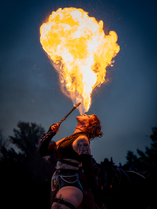 Salon HM: This dragon breathes fire. by Chris Wilcox