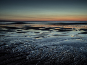 Tide Pools in the Mourning - Photo by Owen Small