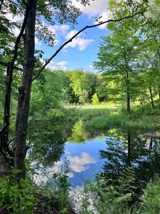 Time to Reflect - Photo by Frank Stapleford