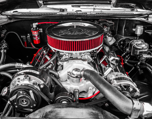 Class B 1st: Timeless Horsepower by Julie Keller