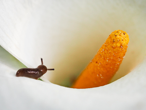 Tiny Traveler - Photo by Quannah Leonard