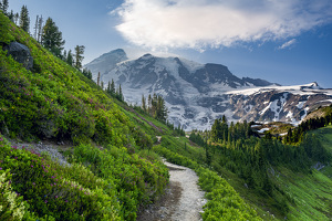 Trail to Paradise - Photo by Lisa Willsey