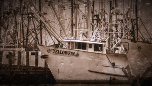 Trawl Gallows at Rest - Photo by Bill Payne