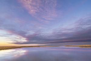 Twilight's Reflection - Photo by Lisa Willsey