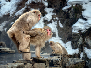 Salon 1st: Uh-oh, we have an audience by Susan Case