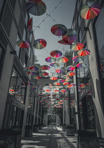 Umbrellas - Photo by Quyen Phan