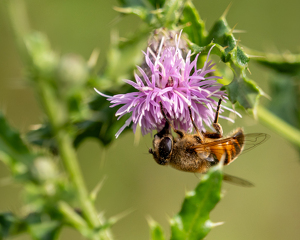 Upside Down - Photo by Quannah Leonard