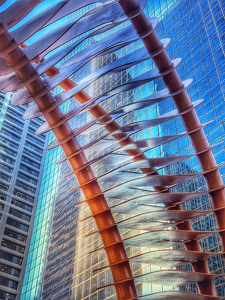 Class B 1st: Urban Spine by Amy Keith