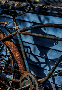 WEATHERED - Photo by Alene Galin