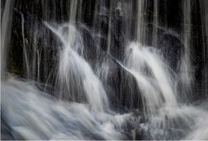 Water Birds - Photo by Eric Lohse