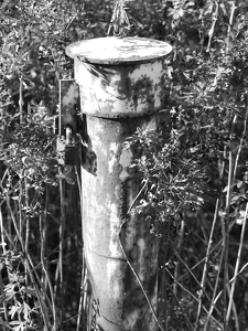 Water Sampling Pipe - Photo by Chip Neumann