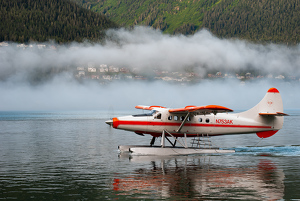 Class A 1st: Water Taxi by Linda Fickinger