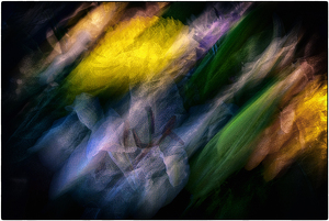 Class A HM: Watercolor Flowers by Alene Galin