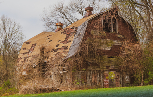 We've Seen Better Days - Photo by Pamela Carter