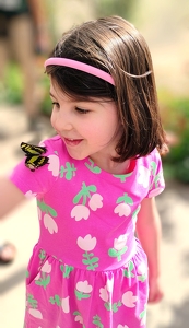 What a pretty butterfly! - Photo by Mireille Neumann