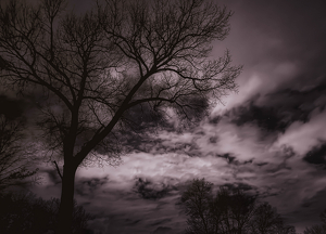 Class B HM: Whispers of the Midnight Sky by Amy Keith