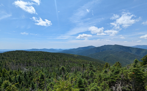 White Mountain Views - Photo by Julie Keller