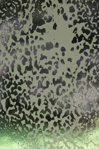 Window Washing - Photo by Cheryl Picard