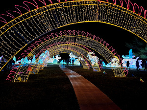 Class A 2nd: Winter Fun by Marylou Lavoie