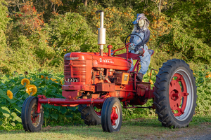 Witch Tractor - Photo by Larry Gleit