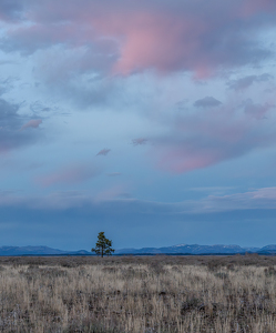 Wyoming - Photo by Alison Wilcox